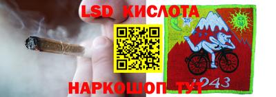 крисы Севастополь