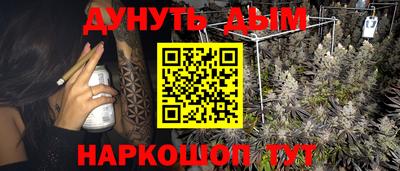 крисы Севастополь