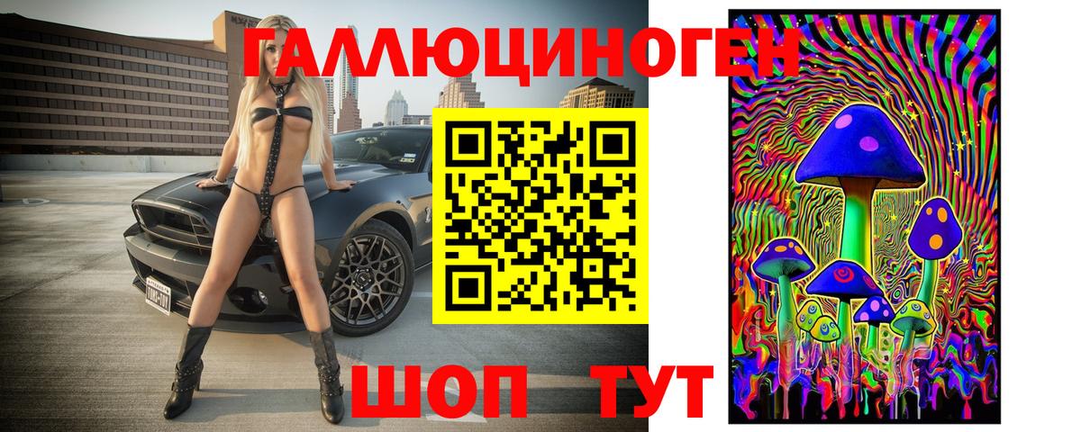 Псилоцибиновые грибы GOLDEN TEACHER  купить закладку  Балашов  Вход с VPN 